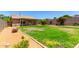 Spacious backyard with lush grass, desert landscaping, and a covered patio, perfect for outdoor activities and relaxation at 10521 W Donald Dr, Peoria, AZ 85383