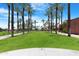 Lush green community space with palm trees, ideal for leisurely activities and enjoying the outdoors at 15971 W Indigo Ln, Surprise, AZ 85374