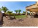 Spacious backyard featuring tropical palms, rock accents, and a covered patio seating area at 41448 N Eliana Dr, Queen Creek, AZ 85140