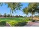 Expansive green community park with walking paths, trees, and landscaping creating a beautiful outdoor space at 41448 N Eliana Dr, Queen Creek, AZ 85140