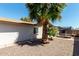 View of the side yard featuring a trampoline, and a mature palm tree at 5302 W Poinsettia Dr, Glendale, AZ 85304