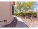 Outdoor patio area with decorative plants, rock, and pathway leading towards outdoor seating and a grill at 5372 S Cat Claw Dr, Gold Canyon, AZ 85118