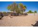 Low-maintenance backyard featuring decorative trees and a fountain for a tranquil ambiance at 664 W Silver Reef Ct, Casa Grande, AZ 85122