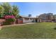 Spacious backyard with lush lawn, patio, and a view of the home's updated exterior at 8501 E Malcomb Dr, Scottsdale, AZ 85250