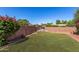 Well-manicured backyard with lush lawn, blooming bougainvillea, and a charming access gate at 8501 E Malcomb Dr, Scottsdale, AZ 85250
