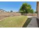 This grassy backyard offers a block wall for privacy and plenty of space for outdoor activities at 1156 N San Benito Dr, Gilbert, AZ 85234