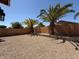 Backyard featuring palm trees and stone landscaping at 15334 W Acapulco Ln, Surprise, AZ 85379