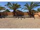 Backyard featuring palm trees and stone landscaping at 15334 W Acapulco Ln, Surprise, AZ 85379