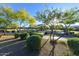 Community playground with play structure, swings, and benches surrounded by mature trees and manicured shrubs at 18207 W Sells Dr, Goodyear, AZ 85395