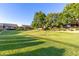 Expansive green common area showcasing manicured lawns and mature trees, creating a peaceful and inviting atmosphere at 4202 E Broadway Rd # 130, Mesa, AZ 85206
