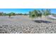 Park with trees and a rock border wall overlooking the community at 10806 W Adam Ave, Peoria, AZ 85373