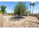View of home's spacious backyard with a mature shade tree and partial covered patio at 15410 N 60Th Ave, Glendale, AZ 85306
