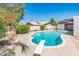 A kidney-shaped pool with diving board is surrounded by a concrete deck and mature landscaping at 333 E Caribbean Ln, Phoenix, AZ 85022