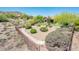 Beautiful backyard landscaping with desert-friendly plants and trees, enhancing outdoor living at 33823 N 2Nd St, Phoenix, AZ 85085