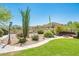 Tranquil backyard with manicured lawn, mature landscaping, and built-in firepit at 33823 N 2Nd St, Phoenix, AZ 85085