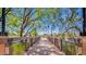 Walking bridge over community lake surrounded by mature trees and street lamps on a sunny day with blue sky at 3863 S Posse Trl, Gilbert, AZ 85297