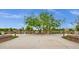Central community space with mature tree, complemented by stone accents and manicured landscaping at 3863 S Posse Trl, Gilbert, AZ 85297