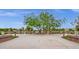 Exterior patio with a central tree feature, surrounded by brick accents and decorative lighting at 3863 S Posse Trl, Gilbert, AZ 85297