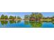 Community pond and park area with trees and walking path over a bridge under a clear, blue sky and bright sunshine at 3863 S Posse Trl, Gilbert, AZ 85297