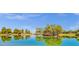Calm pond featuring a charming wooden dock, enveloped by lush greenery and a clear blue sky at 3863 S Posse Trl, Gilbert, AZ 85297