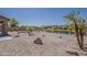 Backyard oasis with desert landscaping, sparkling pool, palm trees, and waterfront views at 40759 W Bravo Dr, Maricopa, AZ 85138