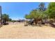Spacious livestock pen with mature trees offering plenty of shade for the animals at 7730 E Culver St, Mesa, AZ 85207