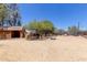 Spacious livestock pen with mature trees offering plenty of shade for the animals at 7730 E Culver St, Mesa, AZ 85207