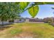 Large grassy yard surrounded by rock and a block fence at 845 E Hampton Ave, Mesa, AZ 85204