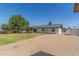 Backyard features rock landscaping, mature trees, and block fence at 845 E Hampton Ave, Mesa, AZ 85204