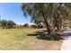 Well-maintained community lawn with large shade trees and stucco buildings at 8940 W Olive Ave # 59, Peoria, AZ 85345