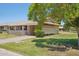 Spacious lawn area, mature tree, and home exterior view with covered carport at 10431 W Roundelay Cir, Sun City, AZ 85351