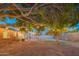 Lush backyard with a covered patio, trees adorned with string lights, and a brick exterior home view at 1909 E Bethany Home Rd, Phoenix, AZ 85016