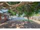Spacious backyard featuring a large tree, patio, and brick exterior, offering a serene outdoor living space at 1909 E Bethany Home Rd, Phoenix, AZ 85016