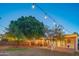 Private backyard features a covered patio, mature trees, and string lights, creating an ideal space for gatherings and relaxation at 1909 E Bethany Home Rd, Phoenix, AZ 85016
