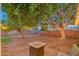 Large backyard featuring a fire pit area and mature trees, perfect for outdoor enjoyment at 1909 E Bethany Home Rd, Phoenix, AZ 85016