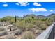 Desert backyard showcasing native vegetation, privacy fence and mountain views at 2638 W Sat Nam Way, Phoenix, AZ 85086