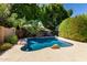 Private pool with stone accents surrounded by lush greenery, creating a serene backyard retreat at 3821 W Barcelona Dr, Chandler, AZ 85226