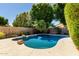 Refreshing pool surrounded by mature trees and landscaping, offering a peaceful backyard oasis at 3821 W Barcelona Dr, Chandler, AZ 85226