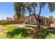 Spacious backyard with lush grass, mature trees, and a covered patio area at 41280 W Sanders Way, Maricopa, AZ 85138