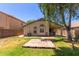 A well-maintained backyard with grass, desert vegetation, and a covered patio at 41280 W Sanders Way, Maricopa, AZ 85138