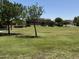 View of open grass area with walking paths and mature trees in the community park at 41280 W Sanders Way, Maricopa, AZ 85138