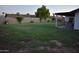 Expansive backyard with lush lawn, block fence and covered patio at 4755 E Gary St, Mesa, AZ 85205