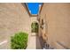 Narrow walkway with an arched gate leading to a lush courtyard with desert landscaping on both sides at 6730 E Hermosa Vista Dr # 72, Mesa, AZ 85215