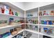 Organized pantry with shelving, providing ample storage space for kitchen essentials at 7415 W Lisbon Ln, Peoria, AZ 85381