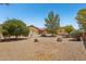Desert landscaped backyard featuring mature trees and gravel at 8511 W Via Montoya Dr, Peoria, AZ 85383
