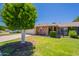 Landscaped front yard featuring a mature tree and well-maintained lawn at 10513 W Roundelay Cir, Sun City, AZ 85351