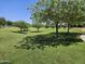 Well-maintained park with lush green grass and mature trees, perfect for relaxing and enjoying the outdoors at 18871 S 209Th Way, Queen Creek, AZ 85142