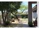 Serene backyard featuring a mature tree, potted plants, and a peaceful seating area at 34464 N 68Th Way, Scottsdale, AZ 85266