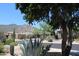 Scenic street view with lush desert landscaping, neighboring homes, and beautiful mountain views at 34464 N 68Th Way, Scottsdale, AZ 85266