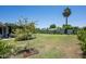 Beautifully landscaped backyard with mature trees, lush lawn, and patio area, perfect for outdoor enjoyment at 4125 N 64Th St, Scottsdale, AZ 85251